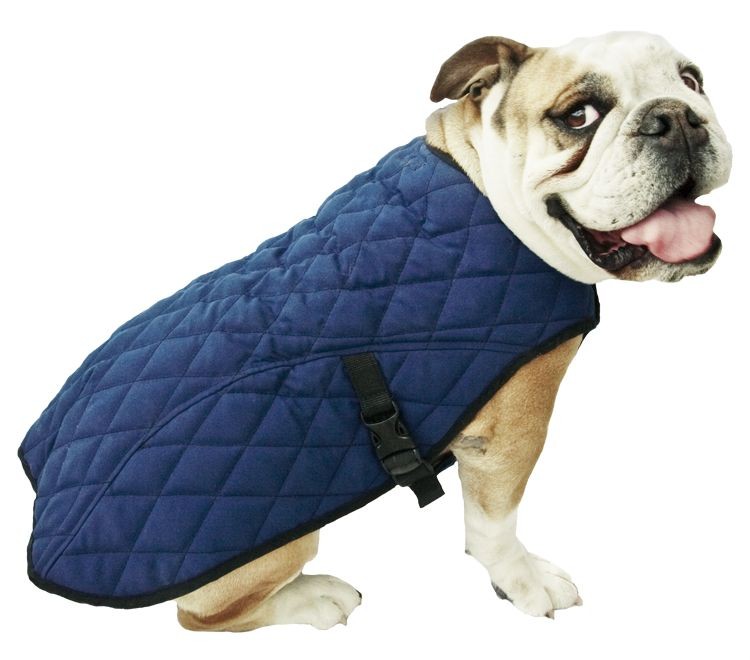 Aqua Cooling Pet Jacket